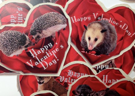 File Sep 08, 3 16 14 PM