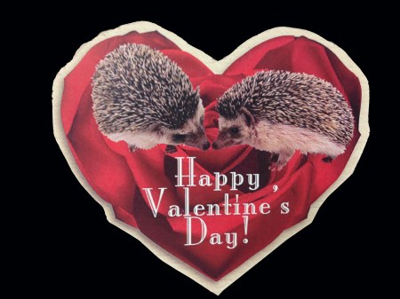 File Sep 08, 3 17 42 PM